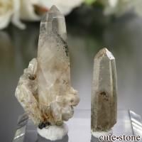 ȥꥢ New South Wales եȥ९ĤθХå No.1β