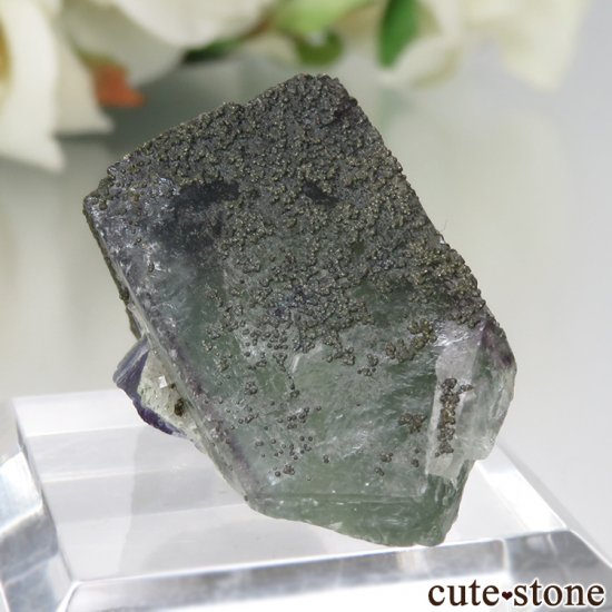䥪󥷥 ꡼ե饤 No.59μ̿0 cute stone