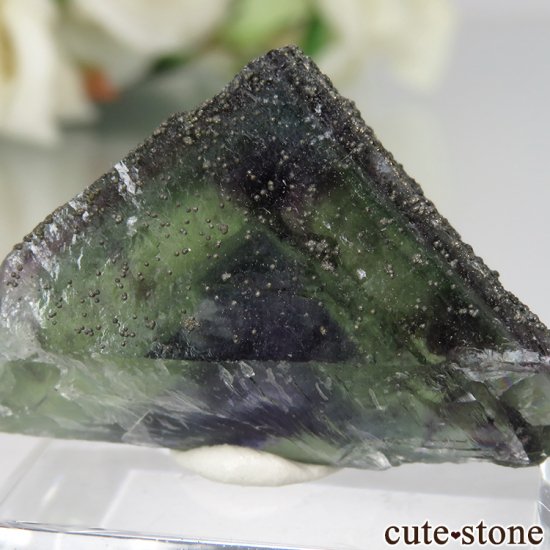 䥪󥷥 ꡼ե饤 No.59μ̿2 cute stone