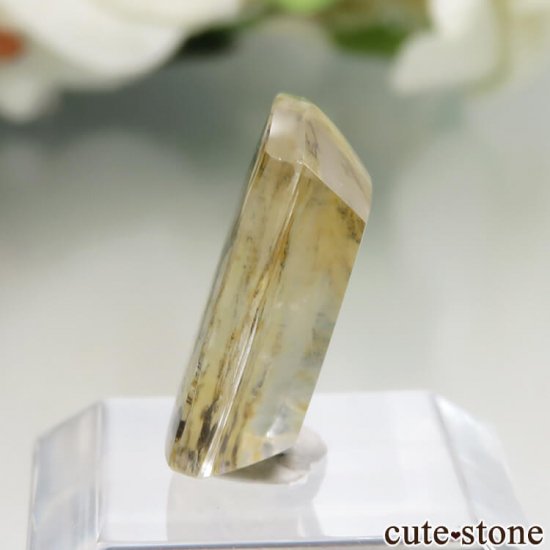 ֥饸뻺 ǥɥƥåĤΥ롼 No.25μ̿2 cute stone