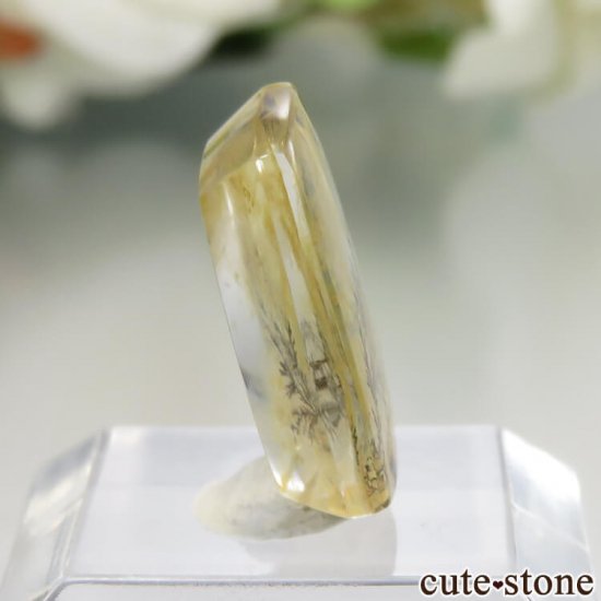 ֥饸뻺 ǥɥƥåĤΥ롼 No.26μ̿0 cute stone