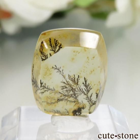 ֥饸뻺 ǥɥƥåĤΥ롼 No.26μ̿1 cute stone