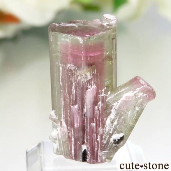 アフガニスタン Paprok産 ウォーターメロントルマリンの結晶