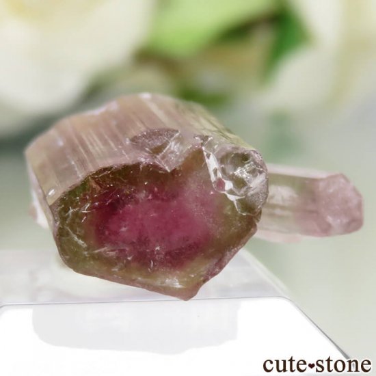 ե˥ Paprok ȥޥη뾽ʸСNo.6μ̿3 cute stone