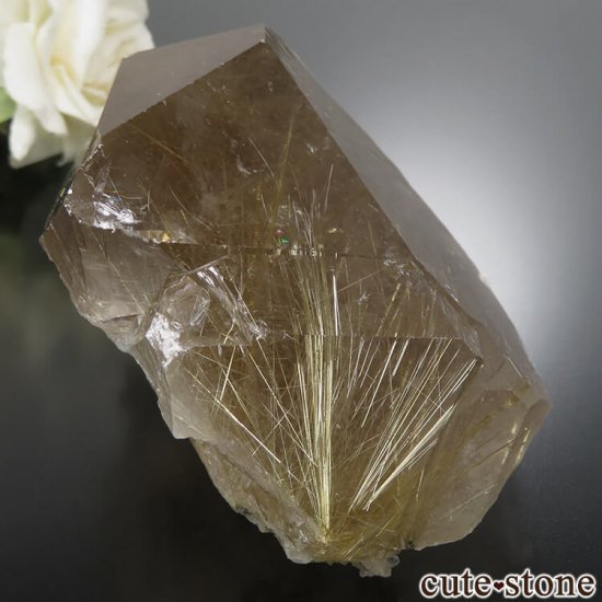 ֥饸 Х Ibitiara 礭ʥ륤󥯥ġۥˤθ No.8μ̿0 cute stone