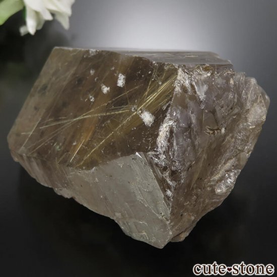 ֥饸 Х Ibitiara 礭ʥ륤󥯥ġۥˤθ No.9μ̿1 cute stone