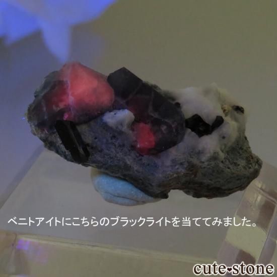【訳あり品・ハイパワータイプ】LEDブラックライト(UV365nm)の写真1 cute stone