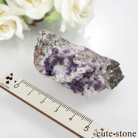 ե Buxieres-les-Mines ѡץե饤ȡĤθ No.2μ̿2 cute stone