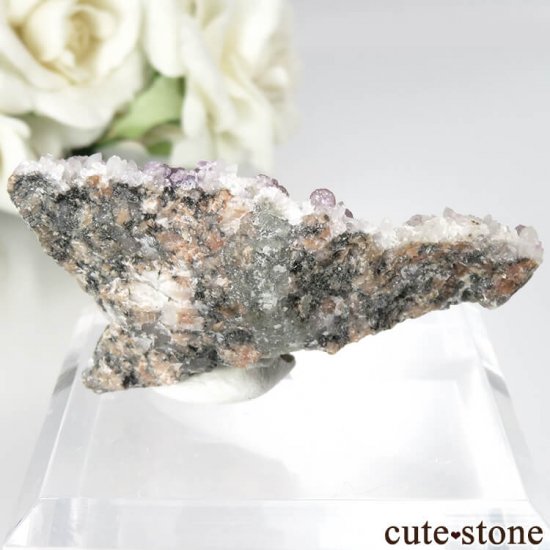 ե Buxieres-les-Mines ѡץե饤ȡĤθ No.3μ̿0 cute stone