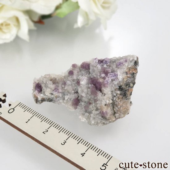 ե Buxieres-les-Mines ѡץե饤ȡĤθ No.3μ̿2 cute stone
