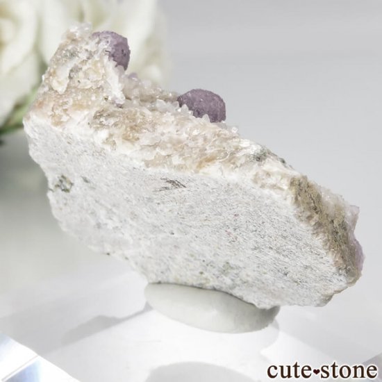 ե Buxieres-les-Mines ѡץե饤ȡĤθ No.4μ̿0 cute stone