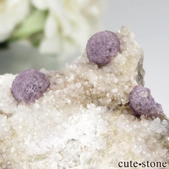 ե Buxieres-les-Mines ѡץե饤ȡĤθ No.4μ̿1 cute stone