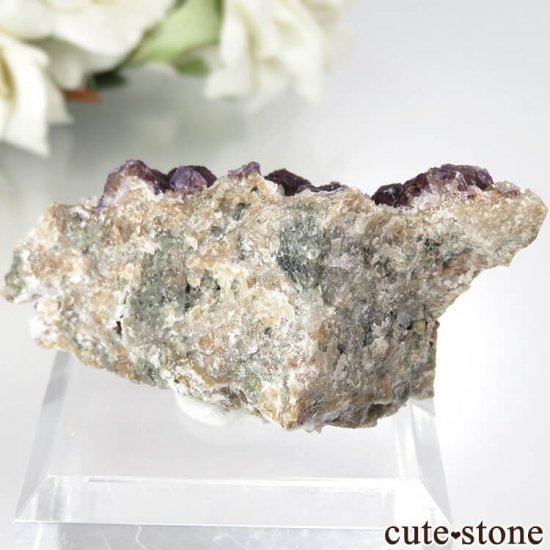 ե Buxieres-les-Mines ѡץե饤ȡĤθ No.5μ̿0 cute stone