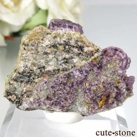 ե Buxieres-les-Mines ѡץե饤ȡĤθ No.6μ̿0 cute stone