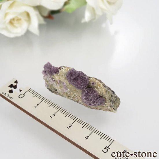 ե Buxieres-les-Mines ѡץե饤ȡĤθ No.6μ̿3 cute stone