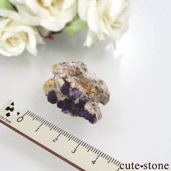 ե Buxieres-les-Mines ѡץե饤ȡĤθ No.8μ̿2 cute stone
