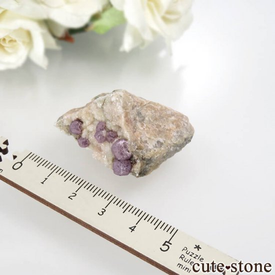 ե Buxieres-les-Mines ѡץե饤ȡĤθ No.9μ̿2 cute stone