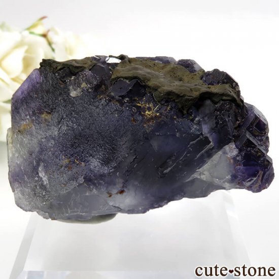  ʡʻ ѡץե饤Ȥθ No.35μ̿1 cute stone