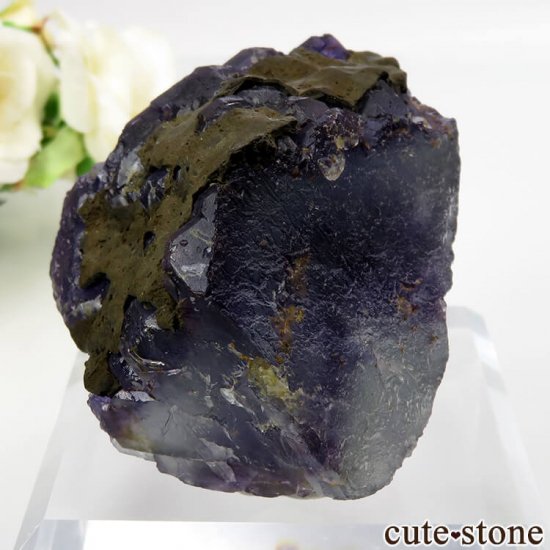  ʡʻ ѡץե饤Ȥθ No.35μ̿2 cute stone