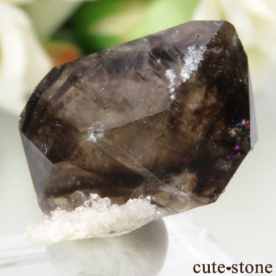ȥꥢ Mooralla(顦) ⡼ No.5μ̿0 cute stone