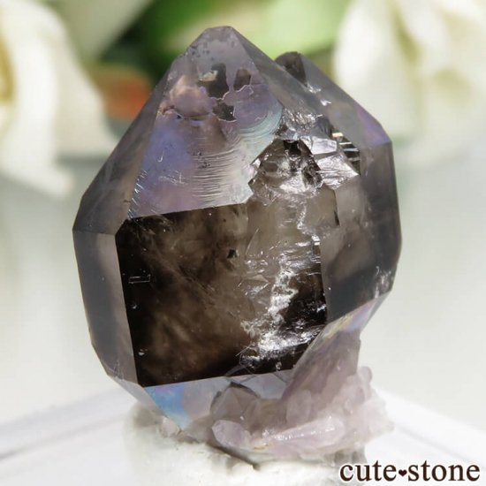 ȥꥢ Mooralla(顦) ⡼ No.8μ̿0 cute stone