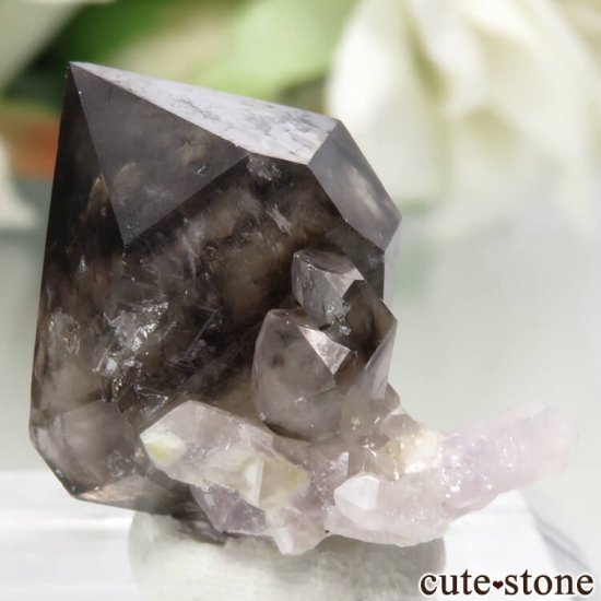 ȥꥢ Mooralla(顦) ⡼ No.9μ̿0 cute stone