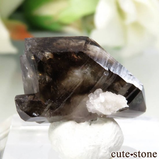 ȥꥢ Mooralla(顦) ⡼ No.10μ̿0 cute stone