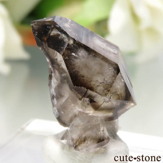 ȥꥢ Mooralla(顦) ⡼ No.11μ̿0 cute stone