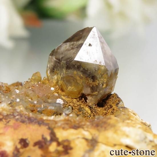 ȥꥢ Mooralla(顦) ⡼ No.14μ̿2 cute stone