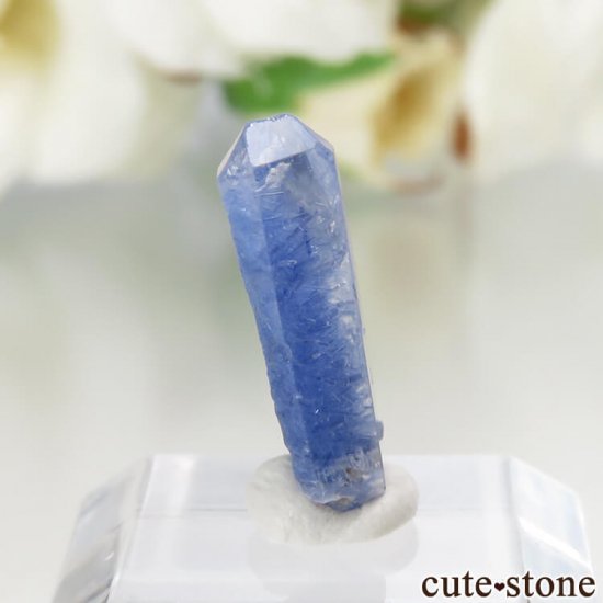 ֥饸뻺 ǥ饤ȥ󥯥Ĥθ No.6μ̿0 cute stone