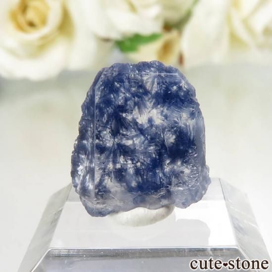 ֥饸뻺 ǥ饤ȥ󥯥Ĥθ No.7