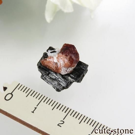 大サイズのトルマリン原石（パキスタン産） 23th-GRTOR-RF0304IS-350x350.jpg