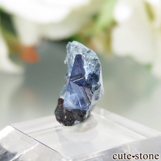 ե˥ California State Gem Mine ٥˥ȥȡͥץʥȤθ No.90μ̿1 cute stone