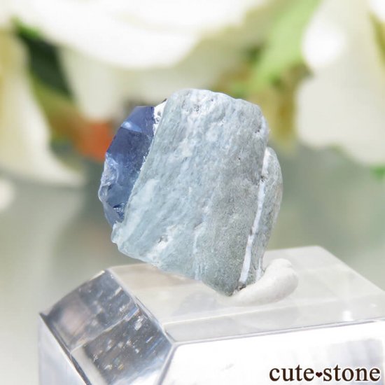 ե˥ California State Gem Mine ٥˥ȥȡ祢ʥȤθ No.91μ̿1 cute stone