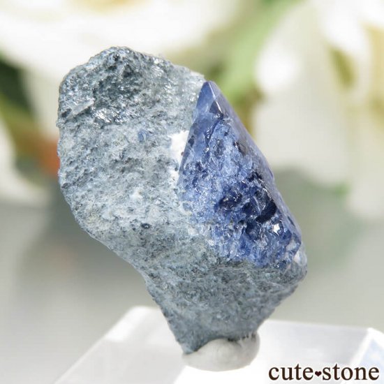 ե˥ California State Gem Mine ٥˥ȥȤθ No.93μ̿0 cute stone