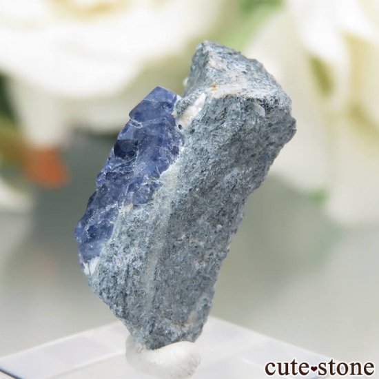 ե˥ California State Gem Mine ٥˥ȥȤθ No.93μ̿1 cute stone