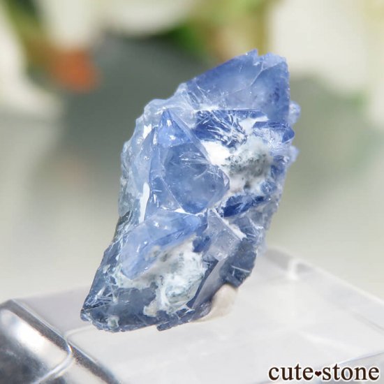 ե˥ California State Gem Mine ٥˥ȥȤθ No.95μ̿0 cute stone