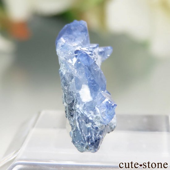 ե˥ California State Gem Mine ٥˥ȥȤθ No.95μ̿1 cute stone