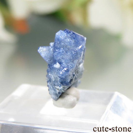 ե˥ California State Gem Mine ٥˥ȥȤθ No.95μ̿3 cute stone