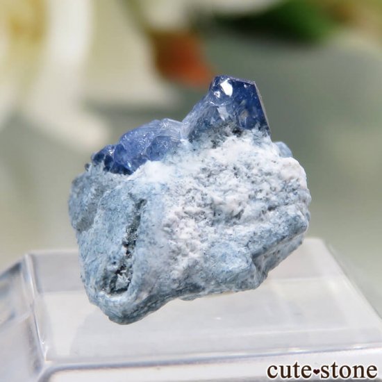 ե˥ California State Gem Mine ٥˥ȥȤθ No.97μ̿1 cute stone