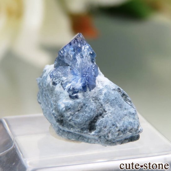 ե˥ California State Gem Mine ٥˥ȥȤθ No.97μ̿2 cute stone