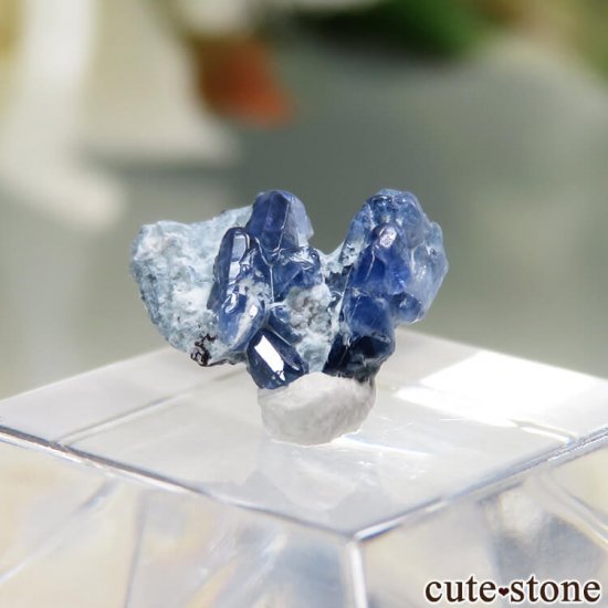 ե˥ California State Gem Mine ٥˥ȥȤθ No.98μ̿0 cute stone