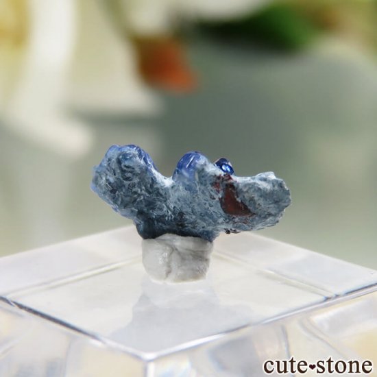 ե˥ California State Gem Mine ٥˥ȥȤθ No.98μ̿1 cute stone