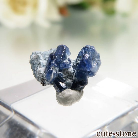 ե˥ California State Gem Mine ٥˥ȥȤθ No.98μ̿2 cute stone