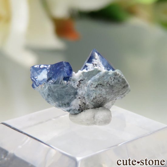 ե˥ California State Gem Mine ٥˥ȥȡͥץʥȤθ No.100μ̿1 cute stone