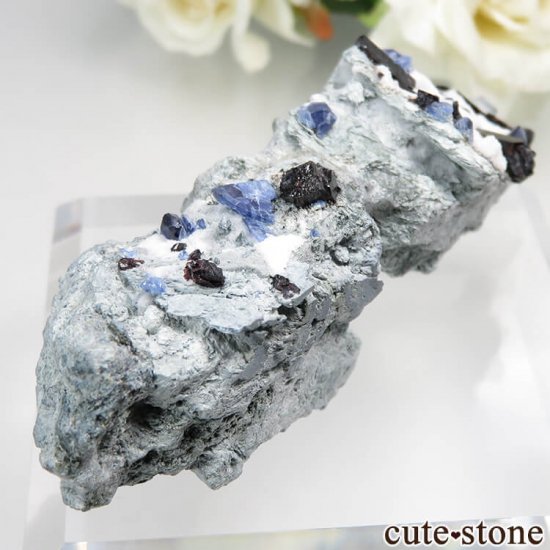 ե˥ California State Gem Mine ٥˥ȥȡͥץʥȡ祢ʥȤθ No.101μ̿0 cute stone