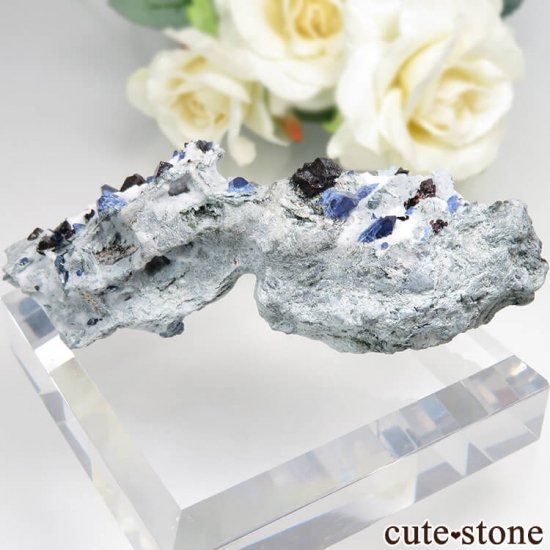ե˥ California State Gem Mine ٥˥ȥȡͥץʥȡ祢ʥȤθ No.101μ̿1 cute stone