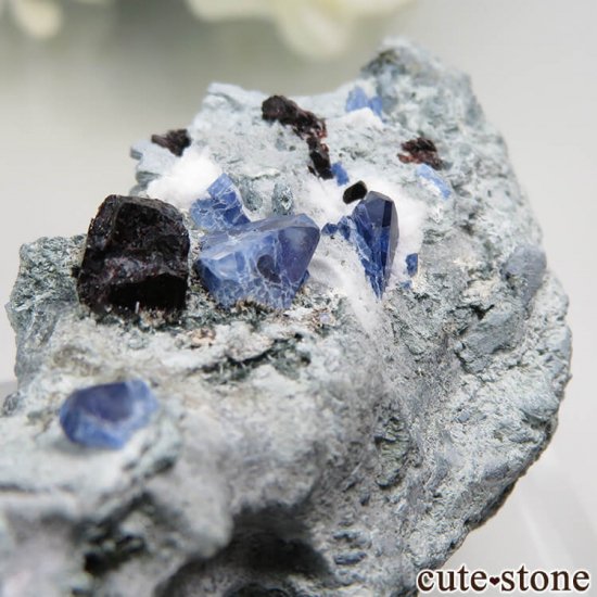 ե˥ California State Gem Mine ٥˥ȥȡͥץʥȡ祢ʥȤθ No.101μ̿5 cute stone
