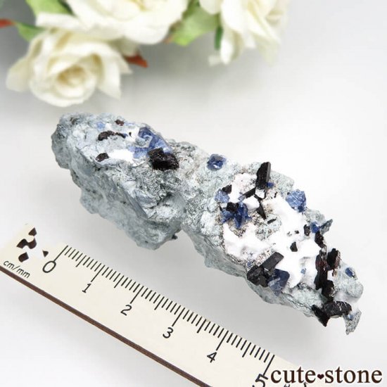 ե˥ California State Gem Mine ٥˥ȥȡͥץʥȡ祢ʥȤθ No.101μ̿6 cute stone