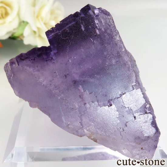 Υ Denton Mine ѡץߥ֥롼ե饤Ȥθ No.7μ̿0 cute stone